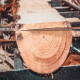 ثبت شرکت تولید صنایع چوبی